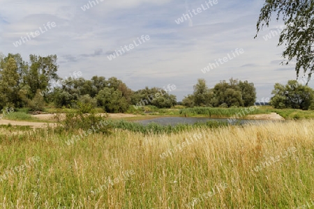 Nationalpark Unteres Odertal