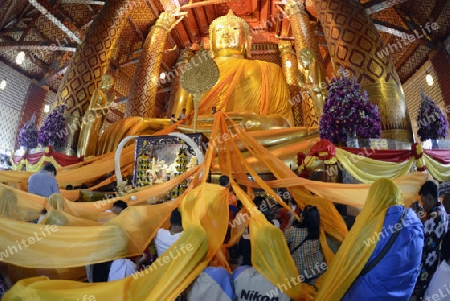 A allday ceremony in the Wat Phanan Choeng Temple in City of Ayutthaya in the north of Bangkok in Thailand, Southeastasia.