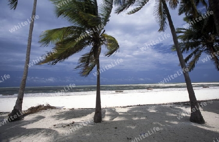 Der Sandstrand bei Bwejuu an der Ostkueste der Insel Sansibar im Indischen Ozean in Tansania in Ostafrika