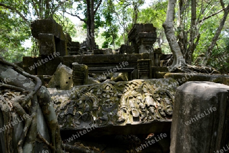 The Tempel Ruin of  Beng Mealea 32 Km north of in the Temple City of Angkor near the City of Siem Riep in the west of Cambodia.