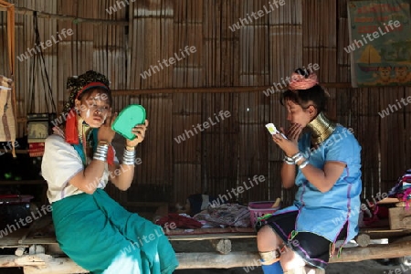 Eine Traditionell gekleidete Langhals Frau eines Paudang Stammes aus Burma lebt in einem Dorf noerdlich von Chiang Mai in Nord Thailand. 