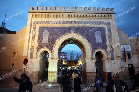 The blue Gate at the Bab Bou Jeloud in the old City in the historical Town of Fes in Morocco in north Africa.