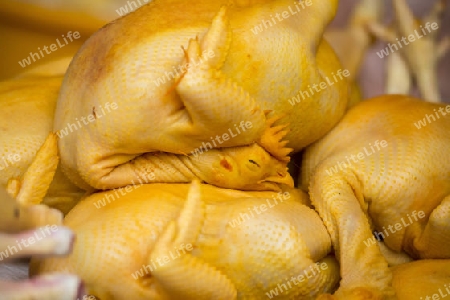 Duck at the morning Market in Nothaburi in the north of city of Bangkok in Thailand in Southeastasia.