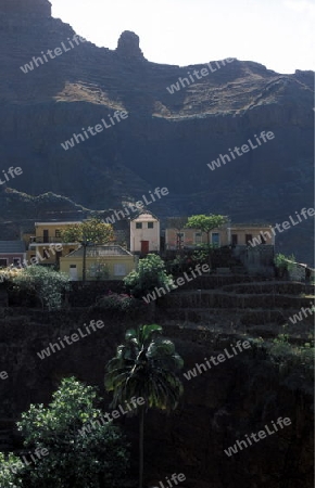 the  Village of Fontainas near  Ribeira Grande on the Island of Santo Antao in Cape Berde in the Atlantic Ocean in Africa.