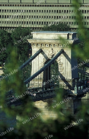 Die Kettenbruecke ueber der Donau und das Parlament in der Hauptstadt von Ungarn in Osteuropa..