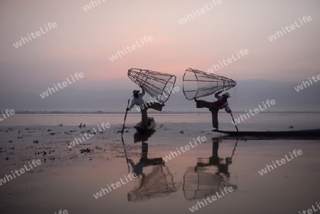 Fishermen at sunrise in the Landscape on the Inle Lake in the Shan State in the east of Myanmar in Southeastasia.