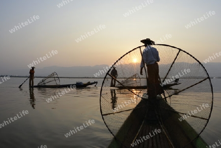 Fishermen at sunrise in the Landscape on the Inle Lake in the Shan State in the east of Myanmar in Southeastasia.