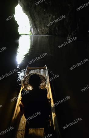 Die Hoehle Cave Pangmapha in der Bergregion von Soppong im norden von Thailand in Suedostasien.