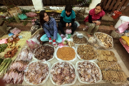 Auf dem Markt in der Altstadt von Luang Prabang in Zentrallaos von Laos in Suedostasien. 