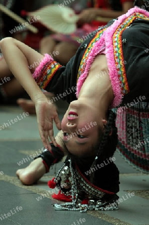 Traditionelle Taenzerinnen tanzen beim Wat Phra That Doi Suthep Tempel in Chiang Mai im Norden von Thailand. 