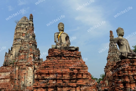 The Wat Chai Wattanaram Temple in City of Ayutthaya in the north of Bangkok in Thailand, Southeastasia.