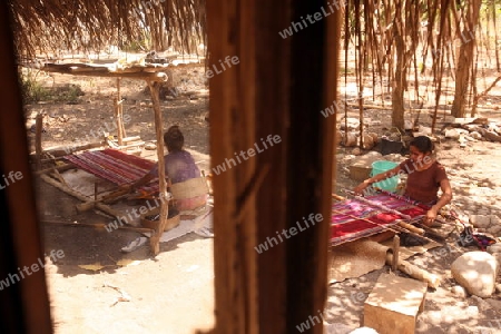 Frauen beim Weben bei Uatolari an der sued-ost Kueste von Timor auf der in zwei getrennten Insel Timor in Asien. 