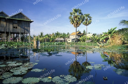 a Farmer village outside of the city of phnom penh in cambodia in southeastasia. 