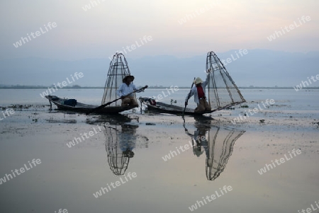 Fishermen at sunrise in the Landscape on the Inle Lake in the Shan State in the east of Myanmar in Southeastasia.