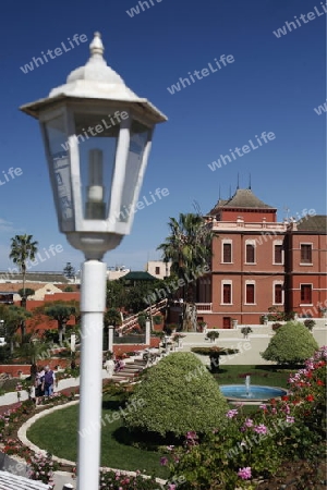 The Victoria Garten in the Town of La Orotava on the Island of Tenerife on the Islands of Canary Islands of Spain in the Atlantic.  