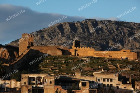 The Citywall in the old City in the historical Town of Fes in Morocco in north Africa.