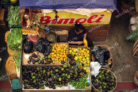 Asien, Suedost, Indonesien, Bali, Insel, Denpasar, Hauptstadt, Markt, Fruchtmarkt, Fruechte, Alltag, Pasar Badung, Arbeit,  Avocado,  (Urs Flueeler) 