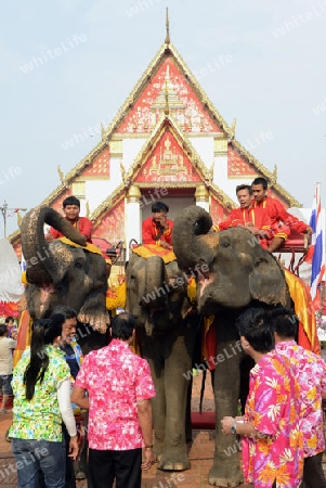 Das Songkran Fest oder Wasserfest zum Thailaendischen Neujahr ist im vollem Gange in Ayutthaya noerdlich von Bangkok in Thailand in Suedostasien.  