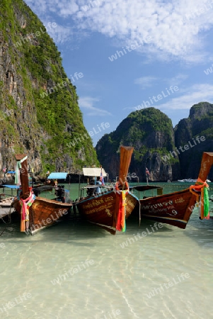 The Maya Beach  near the Ko Phi Phi Island outside of the City of Krabi on the Andaman Sea in the south of Thailand. 