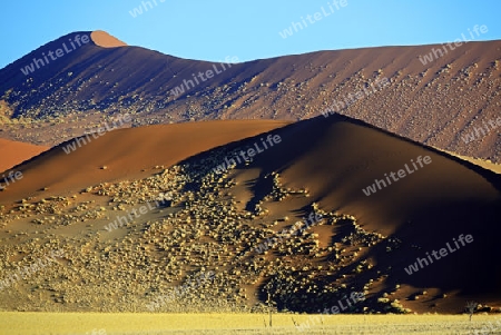 riesige Sandd?nen im letzten Abendlicht,  Namib Naukluft Nationalpark, Sossusvlei, Namibia, Afrika