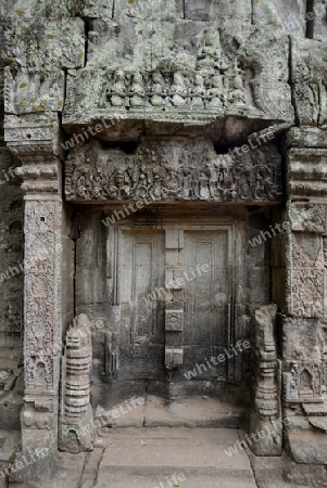 The Temple of  Ta Prohm in the Temple City of Angkor near the City of Siem Riep in the west of Cambodia.