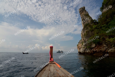 a Boat on the way to Maya Beach  near the Ko Phi Phi Island outside of the City of Krabi on the Andaman Sea in the south of Thailand. 