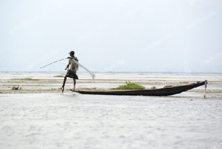 A fishingboat on the Lake Inle near the town of Nyaungshwe at the Inle Lake in the Shan State in the east of Myanmar in Southeastasia.