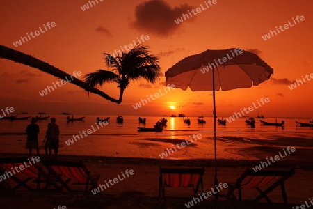 Der Strand  von Hat Sai Ri auf der Insel Ko Tao im Golf von Thailand im Suedwesten von Thailand in Suedostasien. 