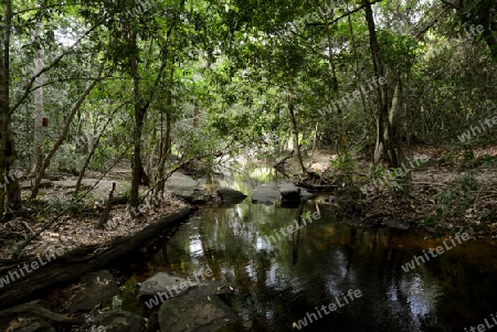 The Tempel Ruin of  Kbal Spean 50 Km northeast of in the Temple City of Angkor near the City of Siem Riep in the west of Cambodia.