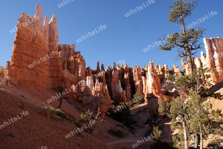 Bryce Canyon USA