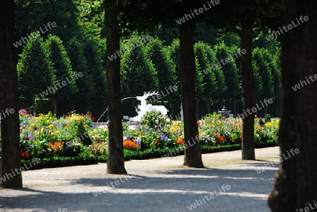 Schlosspark Schwetzingen