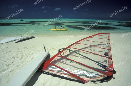 
Surfbretter am Strand der Insel Meeru im Northmale Atoll auf den Inseln der Malediven im Indischen Ozean. 