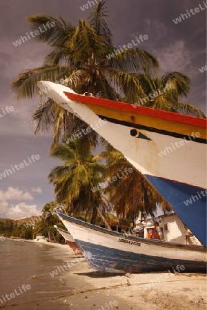 Suedamerika, Karibik, Venezuela, Isla Margarita, Pampatar, Strand, Beach, Fischerdorf, Fischerboot, Holzboot, Palmenstrand, Meer, 