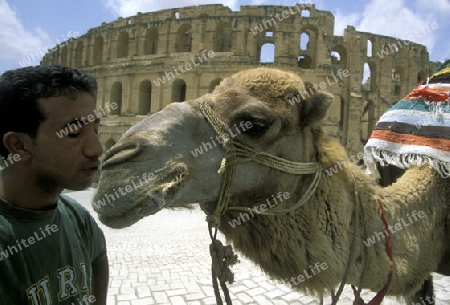 Das Kolloseum in El Jem im zentralen Tunesien in Nordafrika.