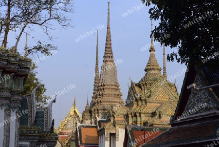 Der Wat Bowonniwet in der Hauptstadt Bangkok von Thailand in Suedostasien.