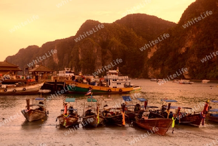 A Beach in the Town of Ko PhiPhi on Ko Phi Phi Island outside of  the City of Krabi on the Andaman Sea in the south of Thailand. 