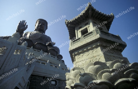 The Giant Buddha on the Island Lantau in Hong Kong in the south of China in Asia.