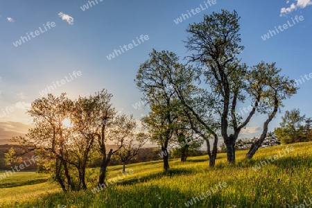 Landschaft, Baselland