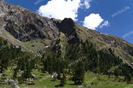 Grawandalm im Zemmgrund/Zillertaler Alpen, ?sterreich