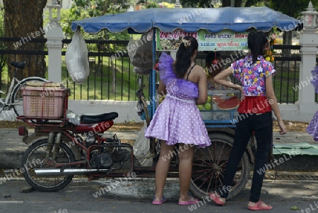 Das Songkran Fest oder Wasserfest zum Thailaendischen Neujahr ist im vollem Gange in Ayutthaya noerdlich von Bangkok in Thailand in Suedostasien.  