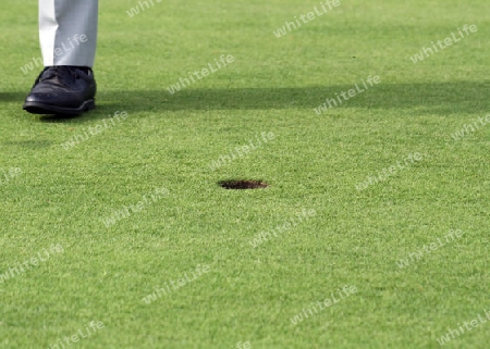 Golfspieler auf dem Green