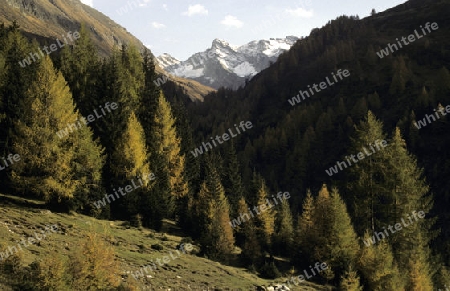 Herbst in S?dtirol