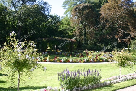 Im Neuen Garten Potsdams