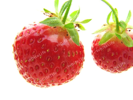 Erdbeeren