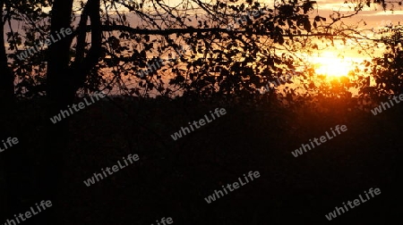 Sonnenuntergang im Harz