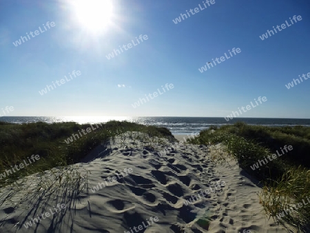 In den D?nen von Vejers Strand