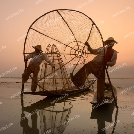 Fishermen at sunrise in the Landscape on the Inle Lake in the Shan State in the east of Myanmar in Southeastasia.