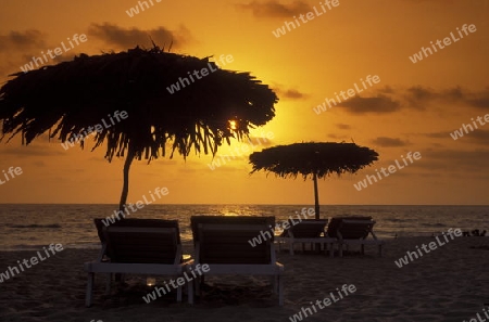  the beach of Anjuna in the Province Goa in India.