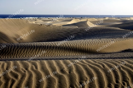 the Sanddunes at the Playa des Ingles in town of Maspalomas on the Canary Island of Spain in the Atlantic ocean.