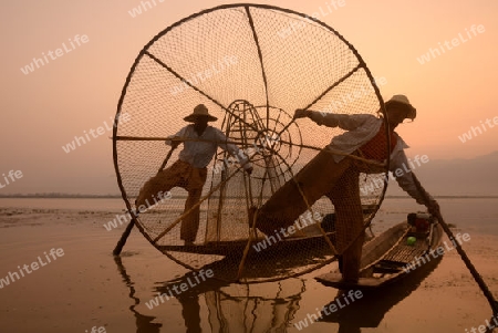 Fishermen at sunrise in the Landscape on the Inle Lake in the Shan State in the east of Myanmar in Southeastasia.